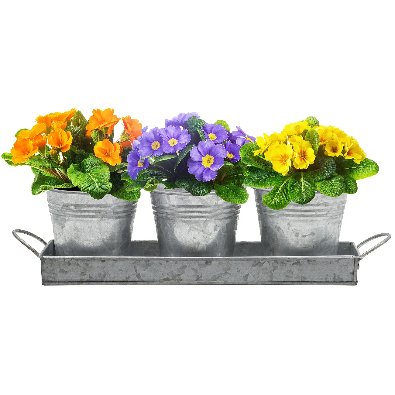 Planter Pot Trio & Tray Set 3 Planter Pot Trio & Tray Set