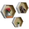 Honeycomb Floating Hexagon Shelves (Set Of 3) 1 Honeycomb Floating Hexagon Shelves (Set Of 3) -Sorbus Decor Shop 1. WD HEX WH Main