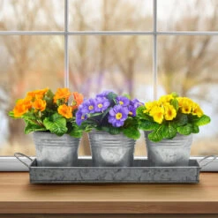 Planter Pot Trio & Tray Set 12 Planter Pot Trio & Tray Set -Sorbus Decor Shop 2 0d0eed63 027e 4318 837a d632f0f1987d