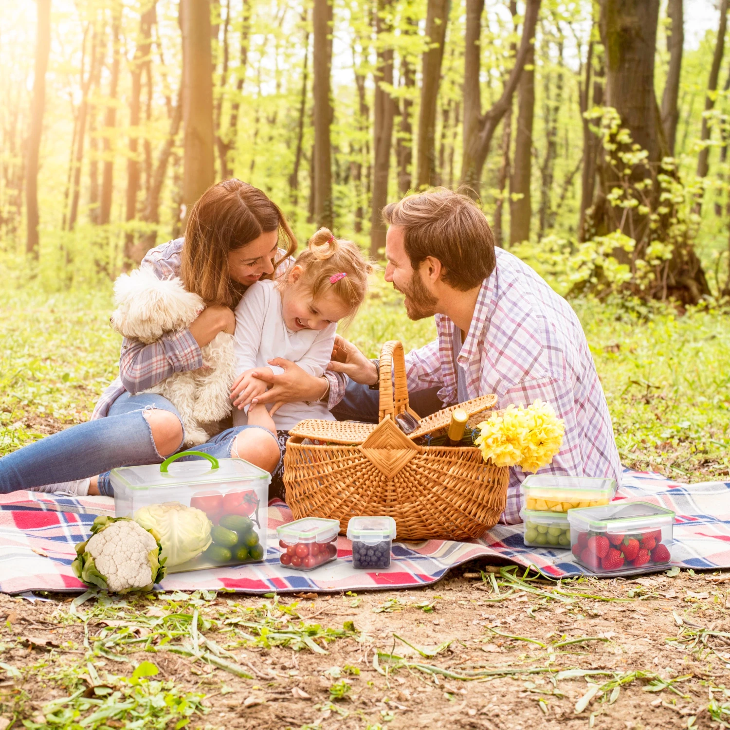 Food Storage Plastic Variety Pack Snap-On Lid (12 Piece) 4 Food Storage Plastic Variety Pack Snap-On Lid (12 Piece) - Image 2