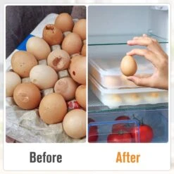 Egg Containers With Lids (Set Of 2, Holds 48 Eggs) 15 Egg Containers With Lids (Set Of 2, Holds 48 Eggs) -Sorbus Decor Shop 5 84be1dda e7fc 4d4e b8ab 7afe0a0523a5