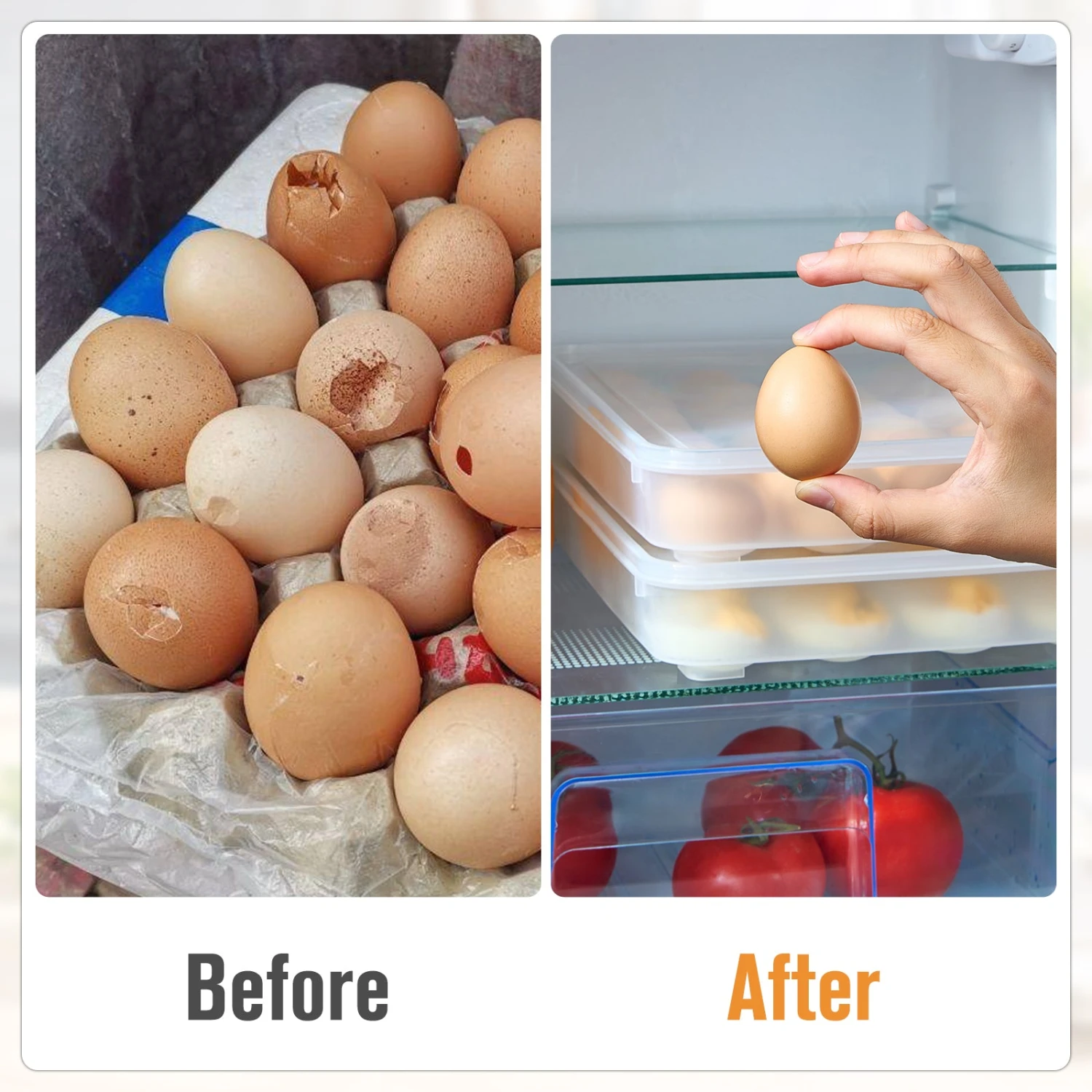 Egg Containers With Lids (Set Of 2, Holds 48 Eggs) 8 Egg Containers With Lids (Set Of 2, Holds 48 Eggs) - Image 6