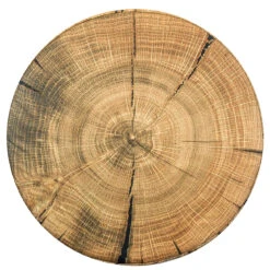 Log Print Storage Ottoman 26 Log Print Storage Ottoman -Sorbus Decor Shop 7. Tree Stump Top